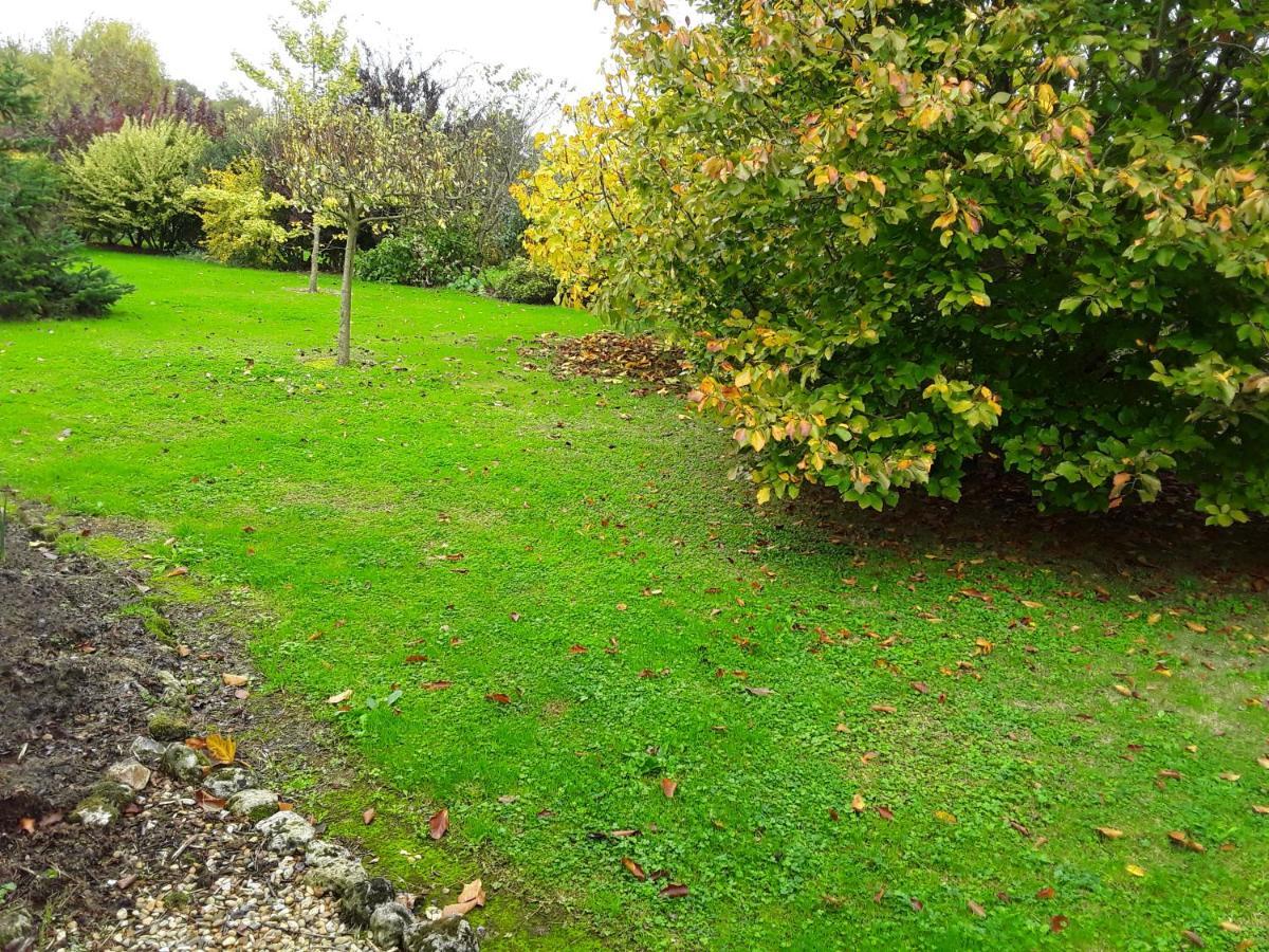 Chambre D'Hotes Cote Jardin Soulignonne Eksteriør billede